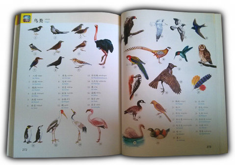 chinesisch bildwörterbuch chinesisch vögel